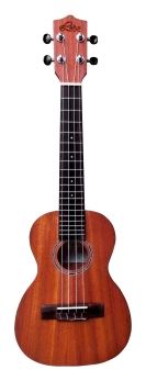 Ukelele concert LHUC-MM - 220