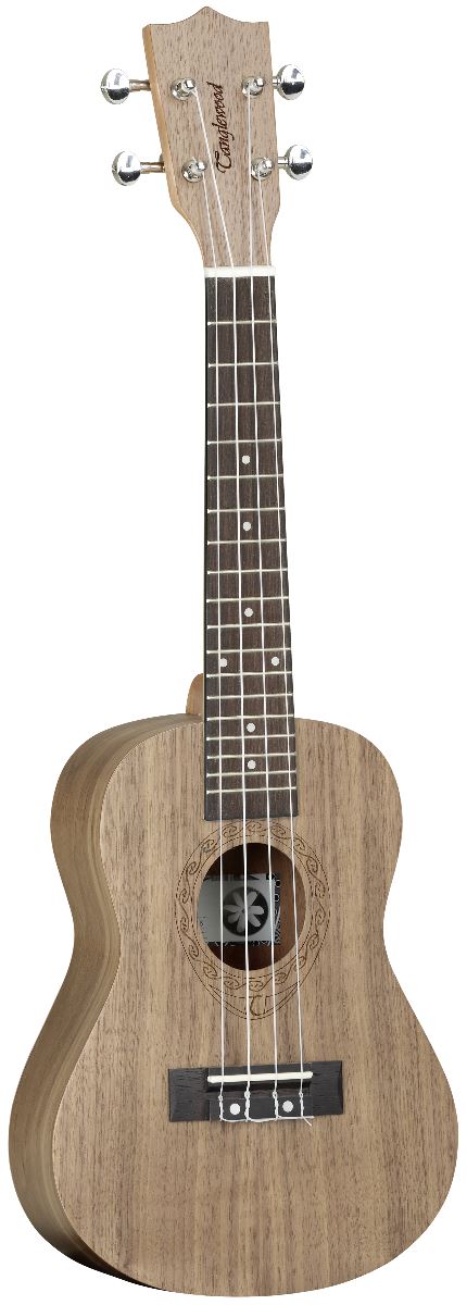 Ukelele concert TWT3
