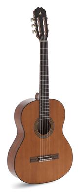 Guitarra clásica Rosario