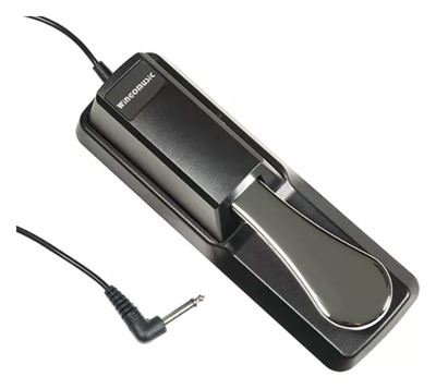 Pedal sustain SP-100