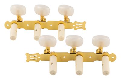 Clavijero dorado
