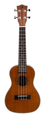 Ukelele concert