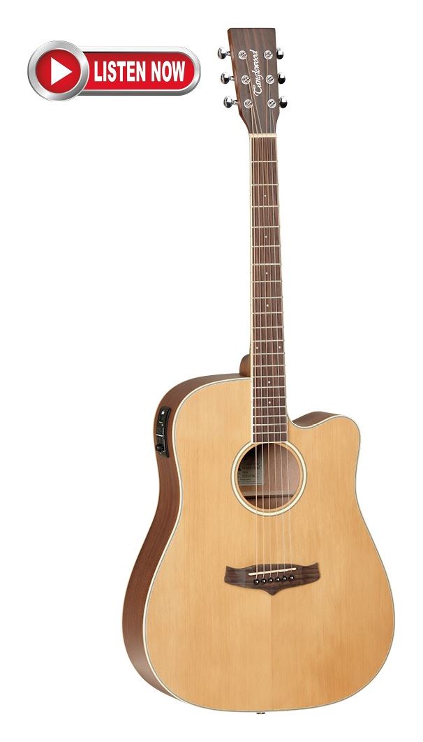 Guitarra acústica TW10