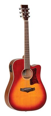 Guitarra acústica TW5SB