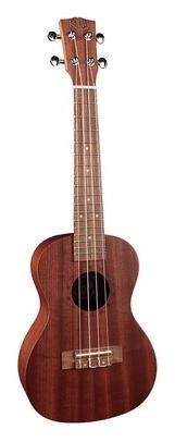 Ukelele concert 110