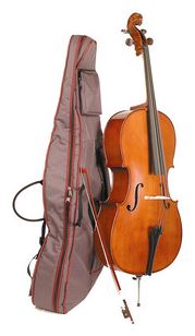 Violoncel STENTOR student II 1/4 set