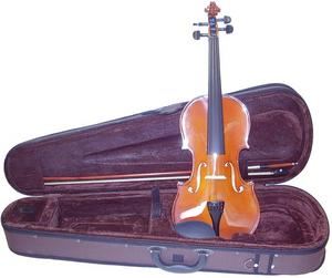 Violí 1/8 School